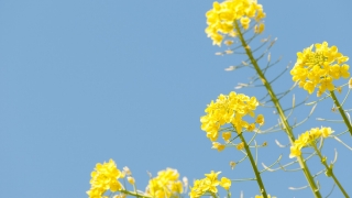 Thumbnail of post image 123