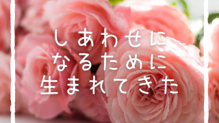Thumbnail of post image 011