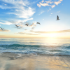 Thumbnail of related posts 151