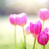 Thumbnail of related posts 156