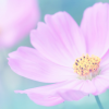 Thumbnail of related posts 151